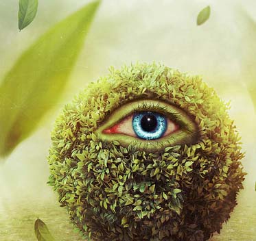 ddos网页在线攻击