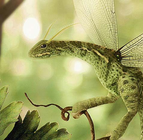 网页DDOS攻击平台