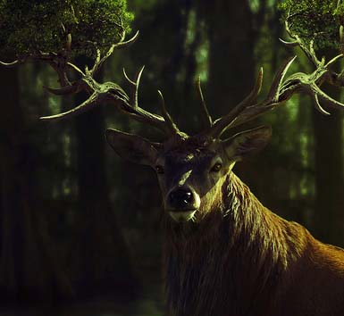 企业破解版的网络ddos攻击软件